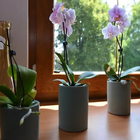 Modern In With Near Appartement *